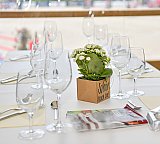 Pferdesporttage 2025