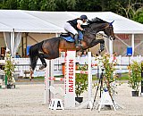 Pferdesporttage 2024